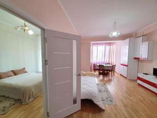 Апартаменты Elite Rent New Apartmens 2-Rooms in the Center Chisinau Кишинёв Апартаменты-22